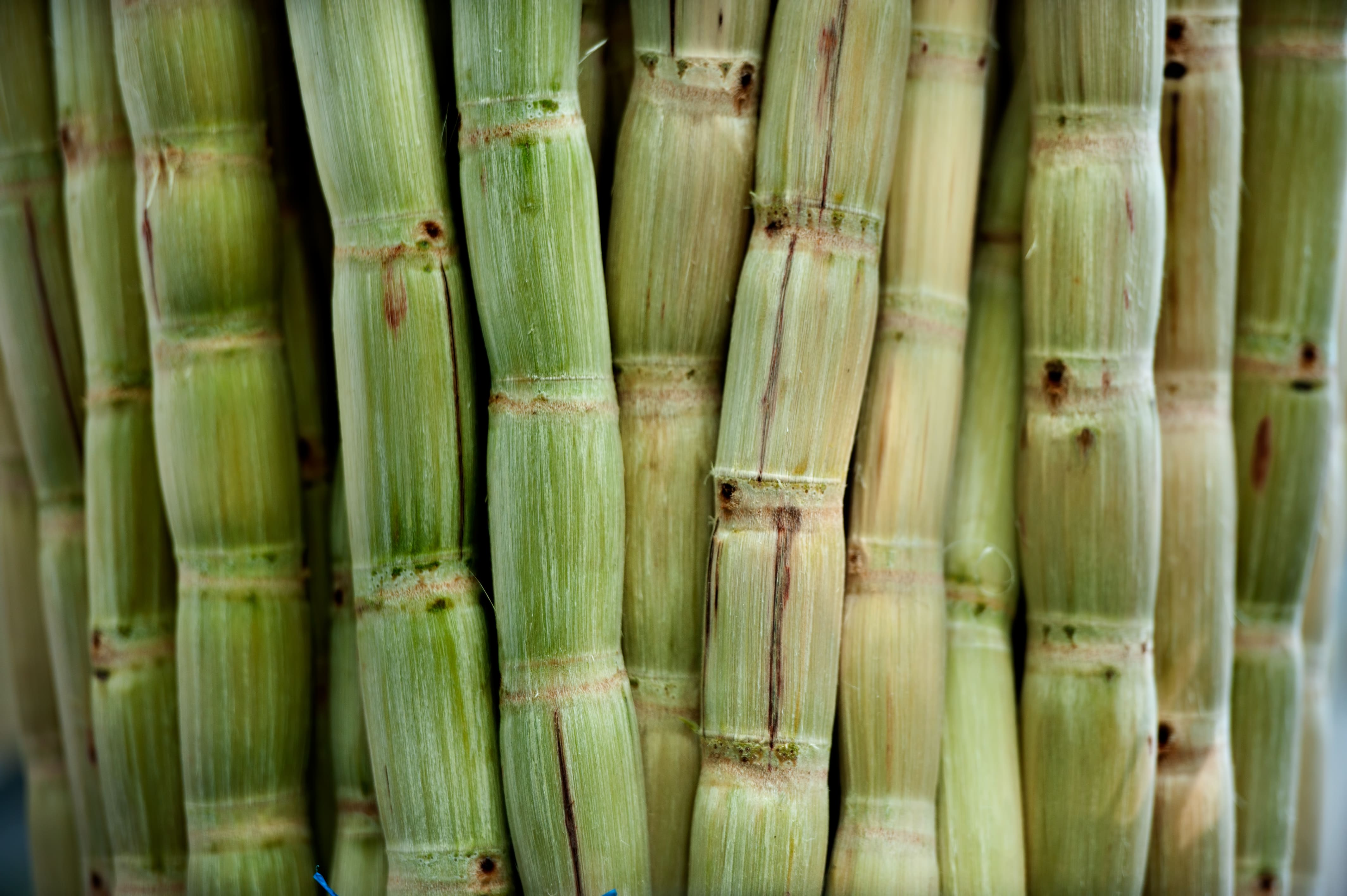 SUGAR INDUSTRY